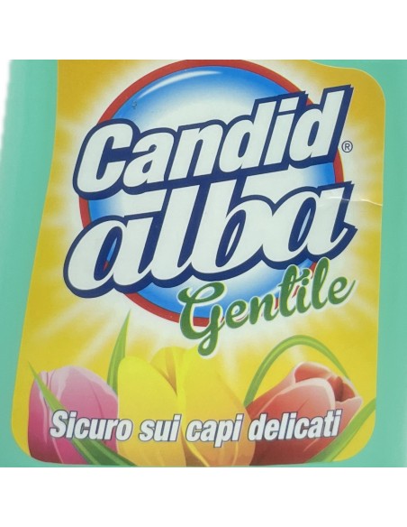 alba candeggina delicata per bucato - 2 litri - per capi bianchi e colorati: tuttocasashop.live: prodotti per bucato e tessuti