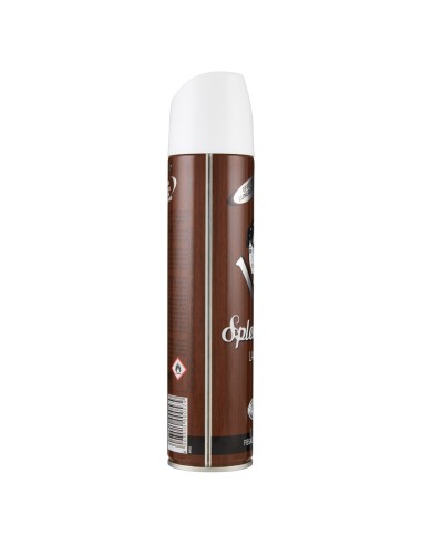 splend'or lacca spray per capelli 300ml - fissaggio forte: tuttocasashop.live: igiene e cura della persona