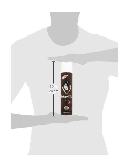splend'or lacca spray per capelli 300ml - fissaggio forte: tuttocasashop.live: igiene e cura della persona