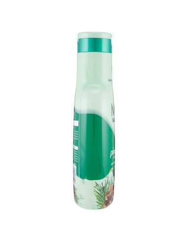 malizia bagnoschiuma 1000ml - pino e te' verde: tuttocasashop.live: igiene e cura della persona