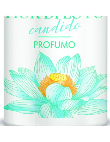 giardino dei sensi deo profumo vapo - 100ml - fiori di loto: tuttocasashop.live: igiene e cura della persona