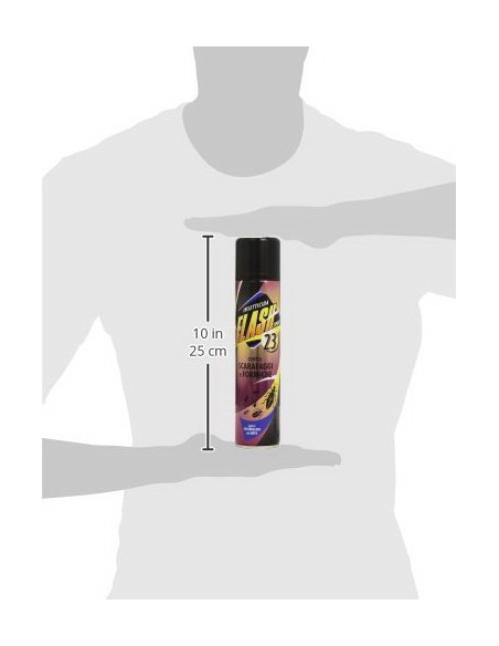 flash 23 scarafaggi e formiche insetticidia spray 250ml: tuttocasashop.live: pulizia e cura della casa