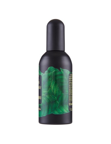 tesori d'oriente profumo aromatico vapo 100ml - sandalo e vetiver: tuttocasashop.live: igiene e cura della persona