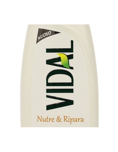 vidal shampoo 250ml - nutre & ripara capelli secchi olio di argan e ceramidi: tuttocasashop.live: igiene e cura della persona
