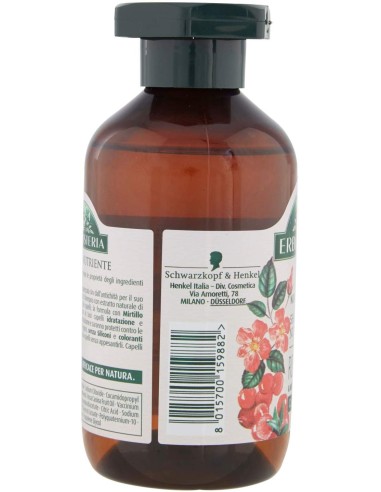 antica erboristeria shampoo 250ml - rosa e mirtillo rosso - capelli secchi: tuttocasashop.live: igiene e cura della persona
