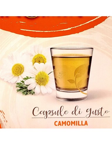 aroma light 30 capsule di gusto - camomilla - nescafe' dolce gusto: tuttocasashop.live: altro - bazar