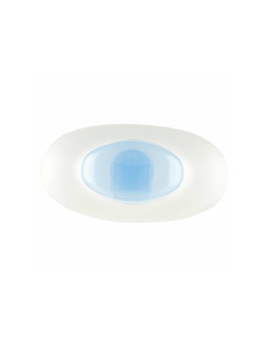 venus bagno doccia crema - 650ml - idrtatante - latte di rido: tuttocasashop.live: igiene e cura della persona
