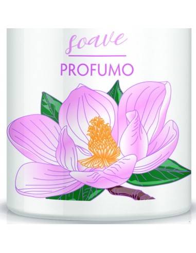 giardino dei sensi deo profumo vapo - 100ml - magnolia: tuttocasashop.live: igiene e cura della persona