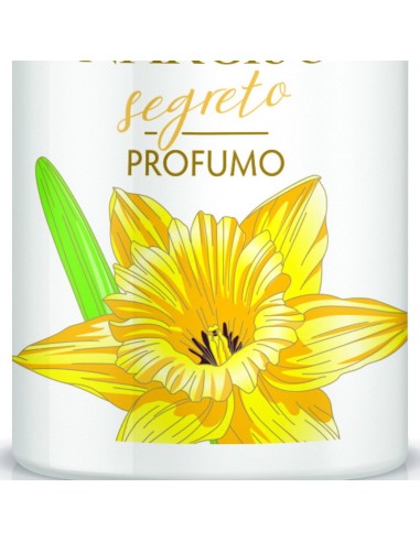 giardino dei sensi deo profumo vapo - 100ml - narciso: tuttocasashop.live: igiene e cura della persona