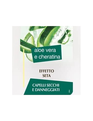 splend'or balsamo per capelli - 300ml - aloe vera e cheratina: tuttocasashop.live: igiene e cura della persona