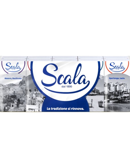 scala fazzolettini di carta da naso 4 veli - 10 pacchetti da 10 pezzi: tuttocasashop.live: carta & monouso