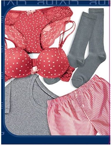 domopak living custodie 31x45cm - 15 pezzi - lingerie e indumenti: tuttocasashop.live: prodotti per bucato e tessuti