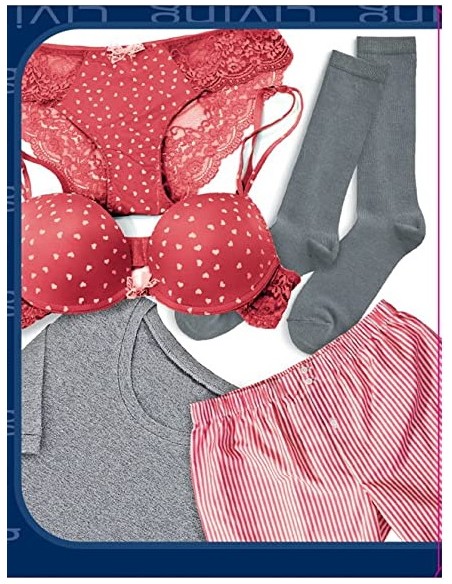 domopak living custodie 31x45cm - 15 pezzi - lingerie e indumenti: tuttocasashop.live: prodotti per bucato e tessuti