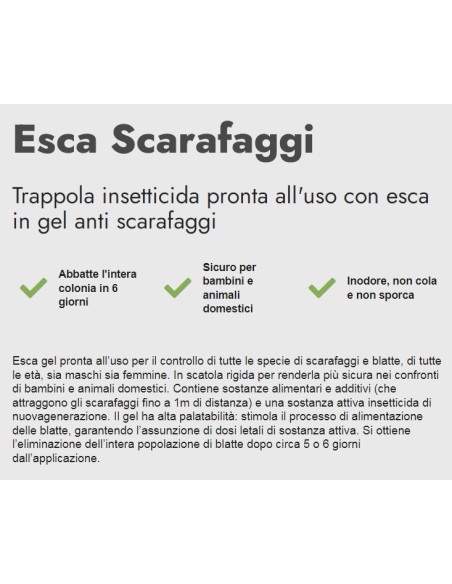 zig zag esca professionale blatte e scarafaggi - gel 4g - sicuro inodore: tuttocasashop.live: pulizia e cura della casa