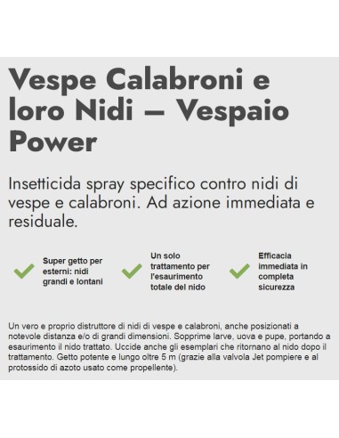 zig zag vespaio power insetticida vespe calabroni e loro nidi - 600ml: tuttocasashop.live: pulizia e cura della casa