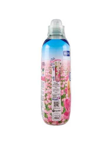 coccolino ammorbidente concentrato - xxl 76 lavaggi 1750ml - seta: tuttocasashop.live: prodotti per bucato e tessuti