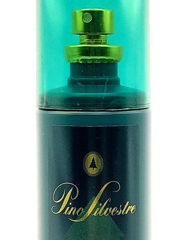 pino silvestre deo profumo natural vapo 125ml - classico - uomo: tuttocasashop.live: igiene e cura della persona