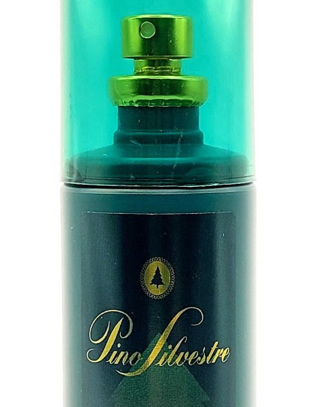 pino silvestre deo profumo natural vapo 125ml - classico - uomo: tuttocasashop.live: igiene e cura della persona