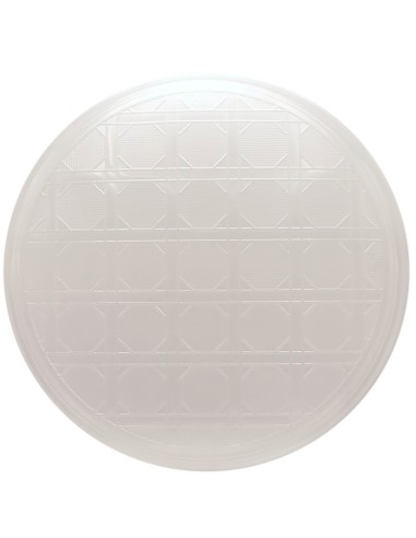 vip 12 piatti pizza in plastica riutilizzabili diametro 33cm - trasparenti: tuttocasashop.live: carta & monouso