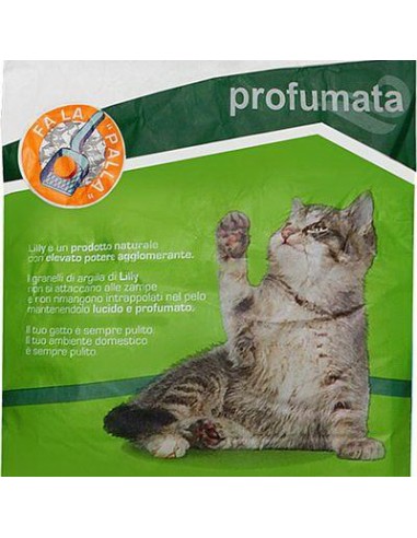 lilly lettiera per gatti sacco da 5kg - profumata: tuttocasashop.live: altro - bazar