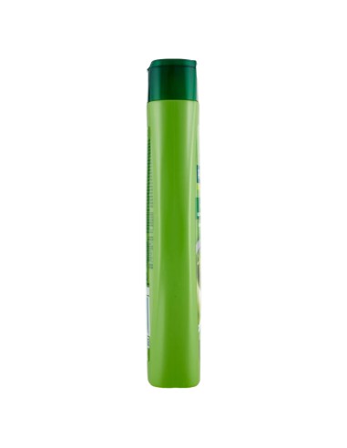 palmolive shampoo 350ml - con aloe - per capelli normali - effetto seta: tuttocasashop.live: igiene e cura della persona