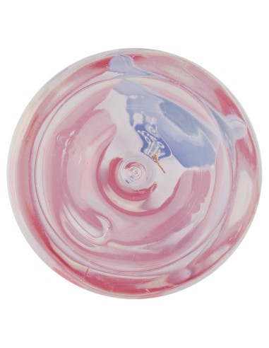 neobaby biberon in plastica collo largo - 330ml - 4m+ - dino rosa: tuttocasashop.live: igiene e cura della persona