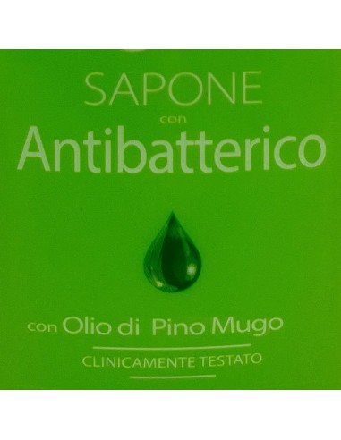pino silvestre sapone liquido 300ml - antibatterico - pure fresh: tuttocasashop.live: igiene e cura della persona