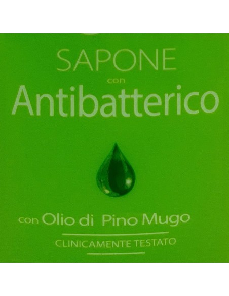 pino silvestre sapone liquido 300ml - antibatterico - pure fresh: tuttocasashop.live: igiene e cura della persona