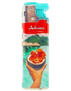 adamo accendino elettronico antivento ricaricabile - colori assortiti - b25: tuttocasashop.live: altro - bazar