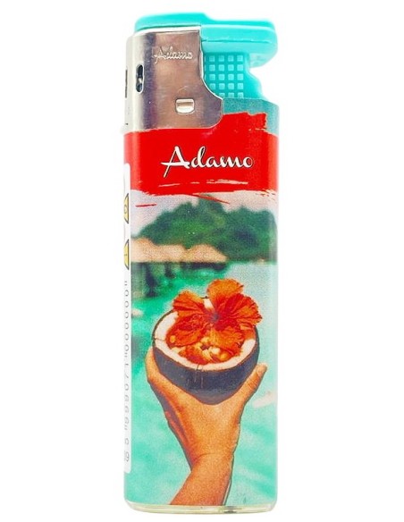 adamo accendino elettronico antivento ricaricabile - colori assortiti - b25: tuttocasashop.live: altro - bazar
