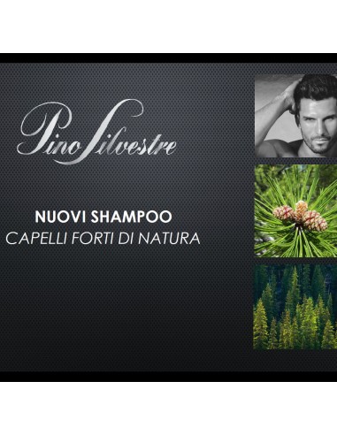 pino silvestre shampoo 250ml - fortificante - creatina e ginepro rosso: tuttocasashop.live: igiene e cura della persona