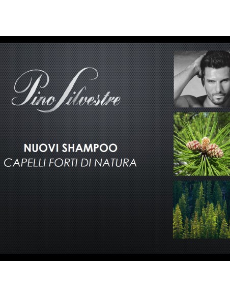 pino silvestre shampoo 250ml - fortificante - creatina e ginepro rosso: tuttocasashop.live: igiene e cura della persona
