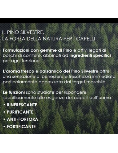 pino silvestre shampoo 250ml - fortificante - creatina e ginepro rosso: tuttocasashop.live: igiene e cura della persona