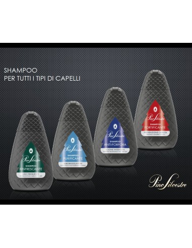 pino silvestre shampoo 250ml - purificante sebo regolatore - eucaliptus: tuttocasashop.live: igiene e cura della persona