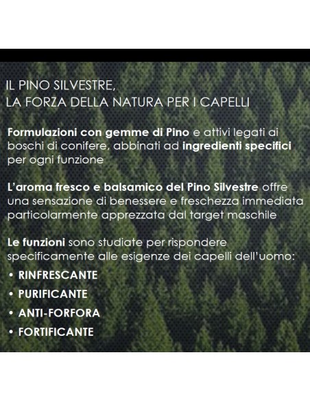 pino silvestre shampoo 250ml - purificante sebo regolatore - eucaliptus: tuttocasashop.live: igiene e cura della persona