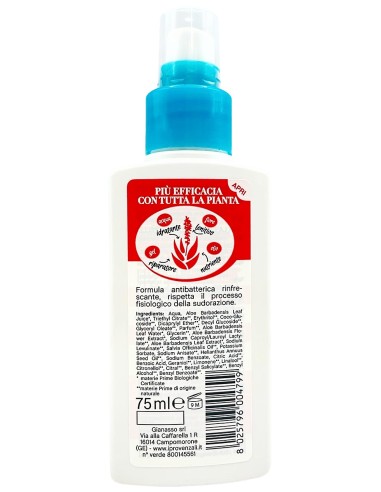 i provenzali deodorante vapo no gas 75ml - aloe vera - delicato lunga durata: tuttocasashop.live: igiene e cura della persona