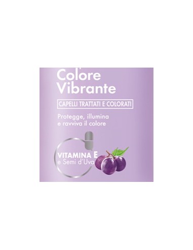 venus shampoo 250ml - colore vibrante - capelli trattati e colorati: tuttocasashop.live: igiene e cura della persona