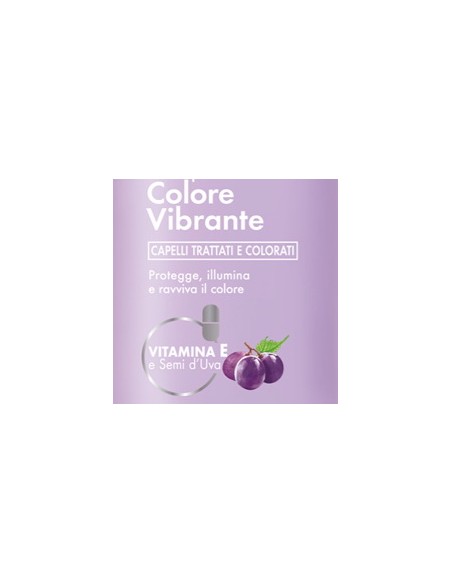venus shampoo 250ml - colore vibrante - capelli trattati e colorati: tuttocasashop.live: igiene e cura della persona