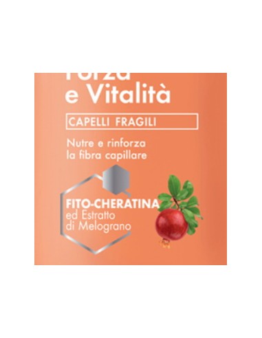 venus shampoo 250ml - forza e vitalita' - fito-cheratina - melograno: tuttocasashop.live: igiene e cura della persona