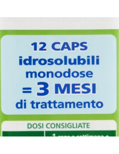wc net fosse biologiche - 12 caps - evita cattivi odori ingorghi e spurghi: tuttocasashop.live: pulizia e cura della casa