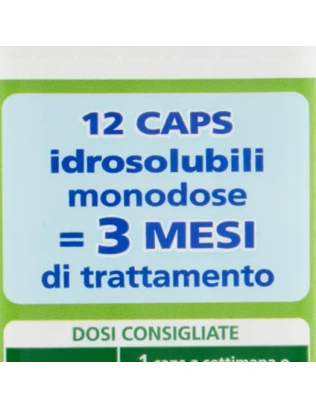 wc net fosse biologiche - 12 caps - evita cattivi odori ingorghi e spurghi: tuttocasashop.live: pulizia e cura della casa