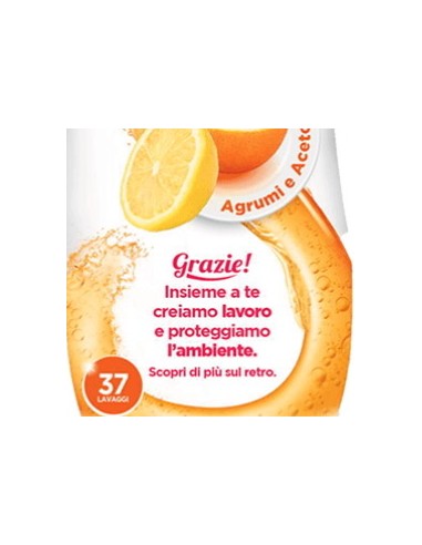 scala detersivo gel per lavastoviglie - 37 lavaggi 750ml - agrumi e aceto: tuttocasashop.live: pulizia e cura della casa