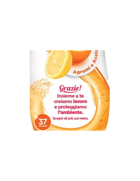 scala detersivo gel per lavastoviglie - 37 lavaggi 750ml - agrumi e aceto: tuttocasashop.live: pulizia e cura della casa