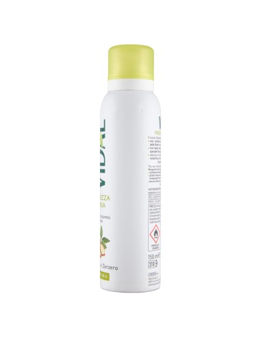 vidal deodorante spray - 150ml - freschezza intesa - bergamotto e zenzero: tuttocasashop.live: igiene e cura della persona