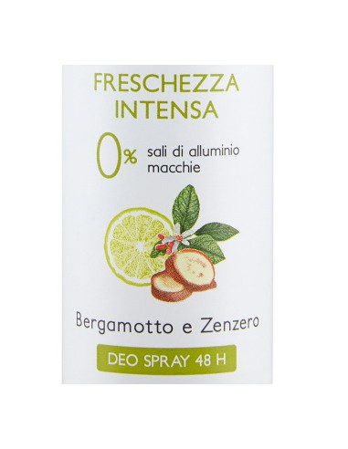 vidal deodorante spray - 150ml - freschezza intesa - bergamotto e zenzero: tuttocasashop.live: igiene e cura della persona