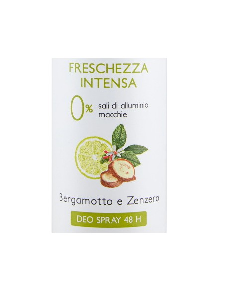 vidal deodorante spray - 150ml - freschezza intesa - bergamotto e zenzero: tuttocasashop.live: igiene e cura della persona