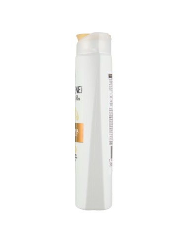 pantene pro-v shampoo - 250ml - rigenera & protegge: tuttocasashop.live: igiene e cura della persona