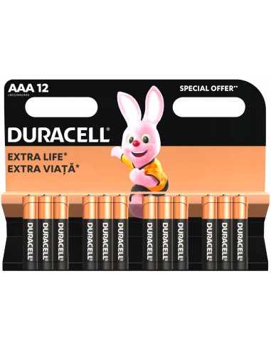 duracell plus pile formato aaa ministilo 1.5v - 12 pezzi - alkaline: tuttocasashop.live: altro - bazar