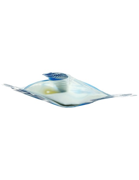 1000 buste portaposate in carta con tovaglioli - scozzese blu e azzurro: tuttocasashop.live: carta & monouso