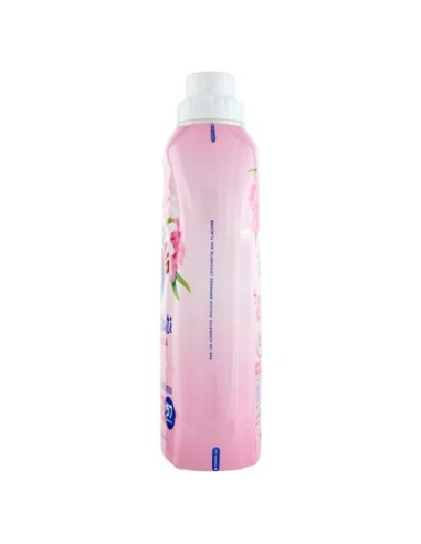chanteclair ammorbidente concentrato 57 lavaggi 1140 ml - peonia e maglolia: tuttocasashop.live: prodotti per bucato e tessuti
